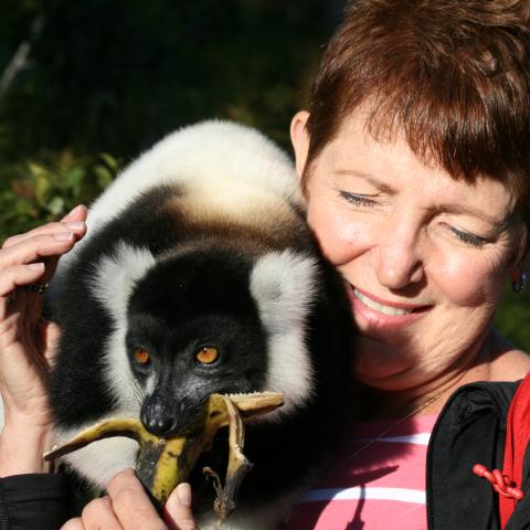 Black and White Ruffed Lemur, Perinet