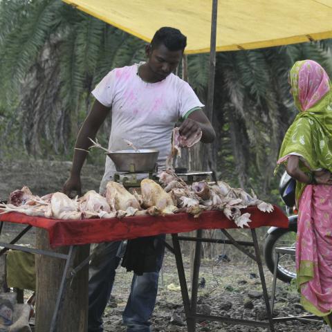 India market scene