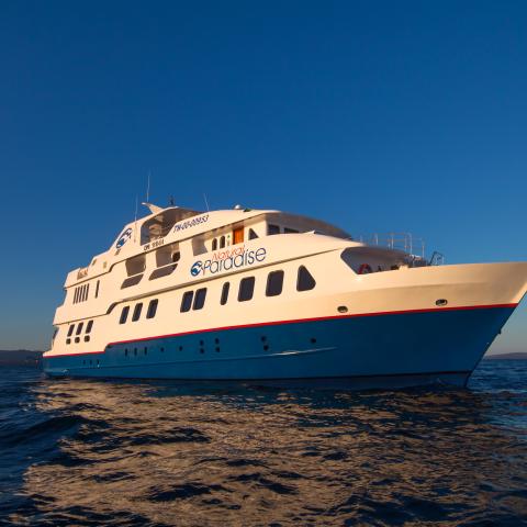 Natural Paradise motor yacht