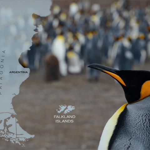 Falkland Islands map