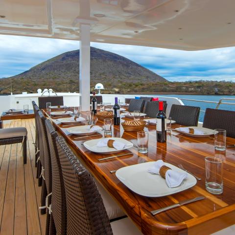 Natural Paradise sundeck
