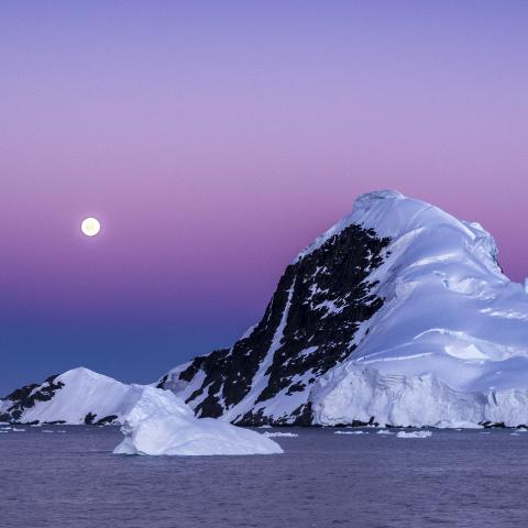 Antarctica