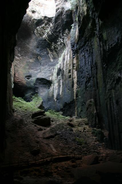 Gomantong Cave, Borneo
