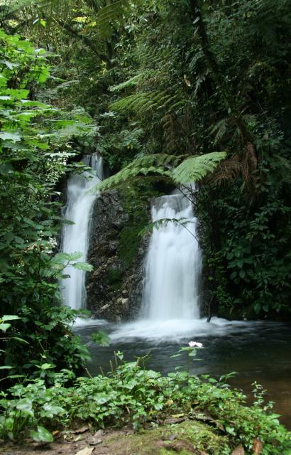 Bwindi Impenetrable Forest waterfall
