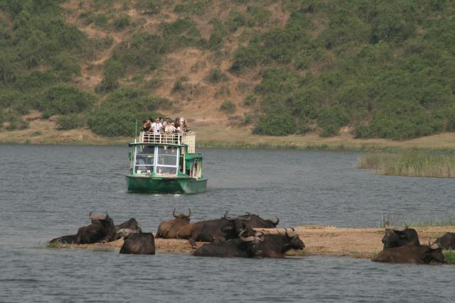 Cruise on the Kazinga Channel, Queen Elizabeth National Park