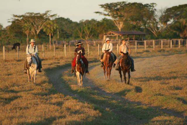 Horseback ride, Baia das Pedras