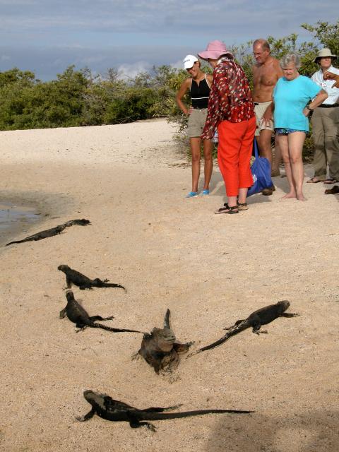 Beach scene, Galapagos