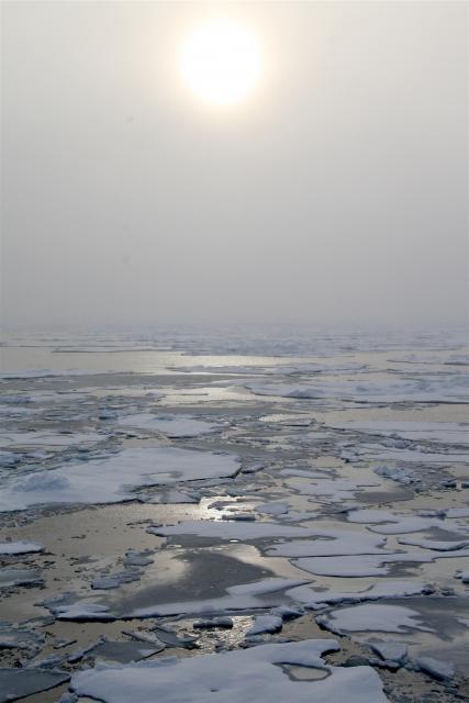 Svalbard scenery