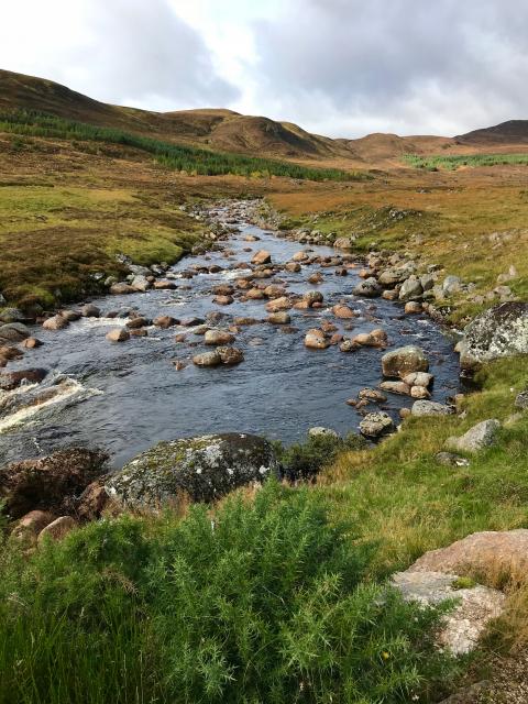 Highland stream, Scotland