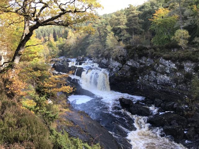 Rogie Falls, Scotland