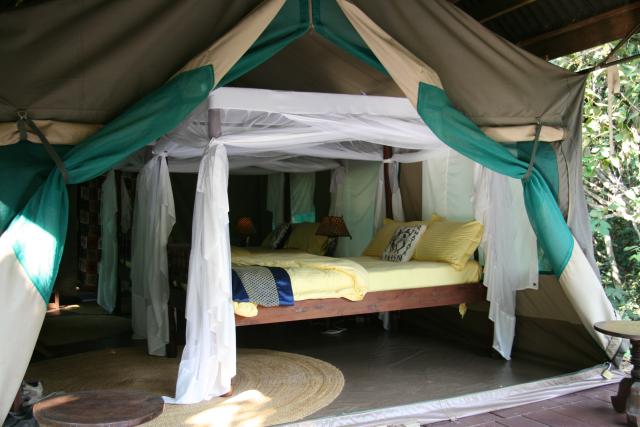 Gombe Lodge tent