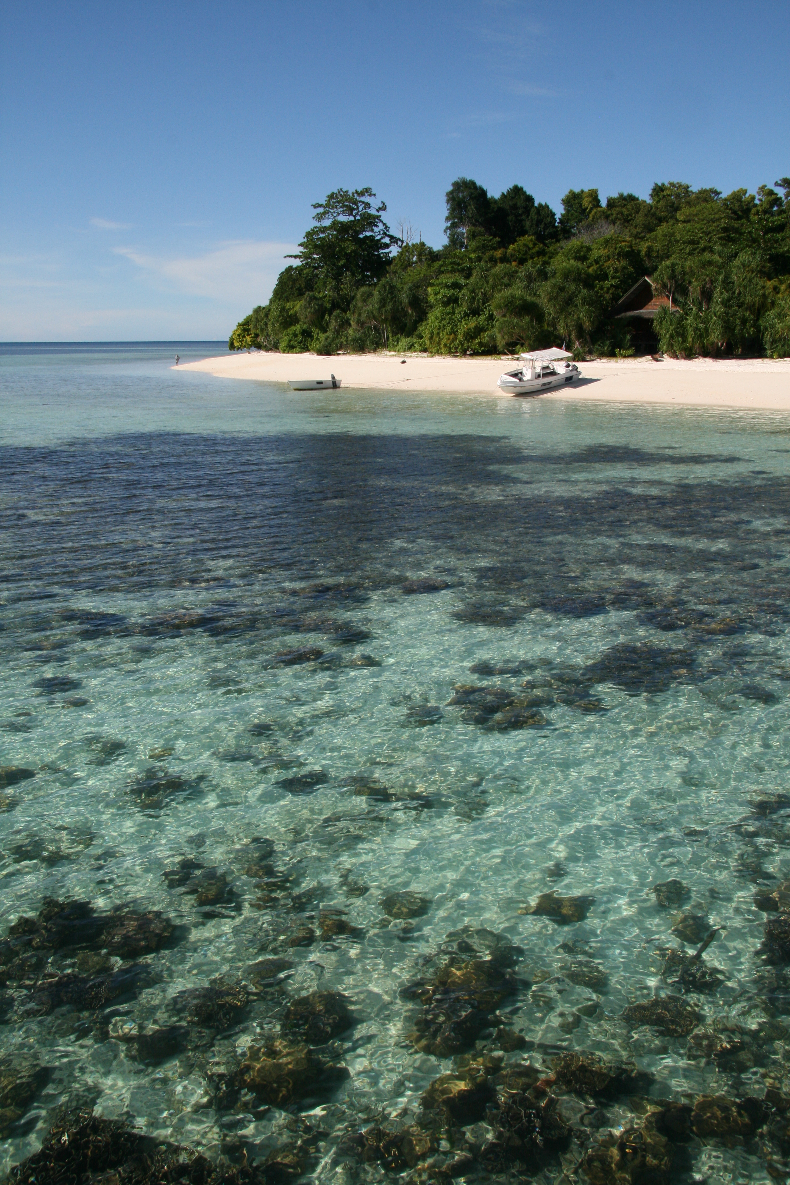 Lankayan Island | Terra Incognita Ecotours