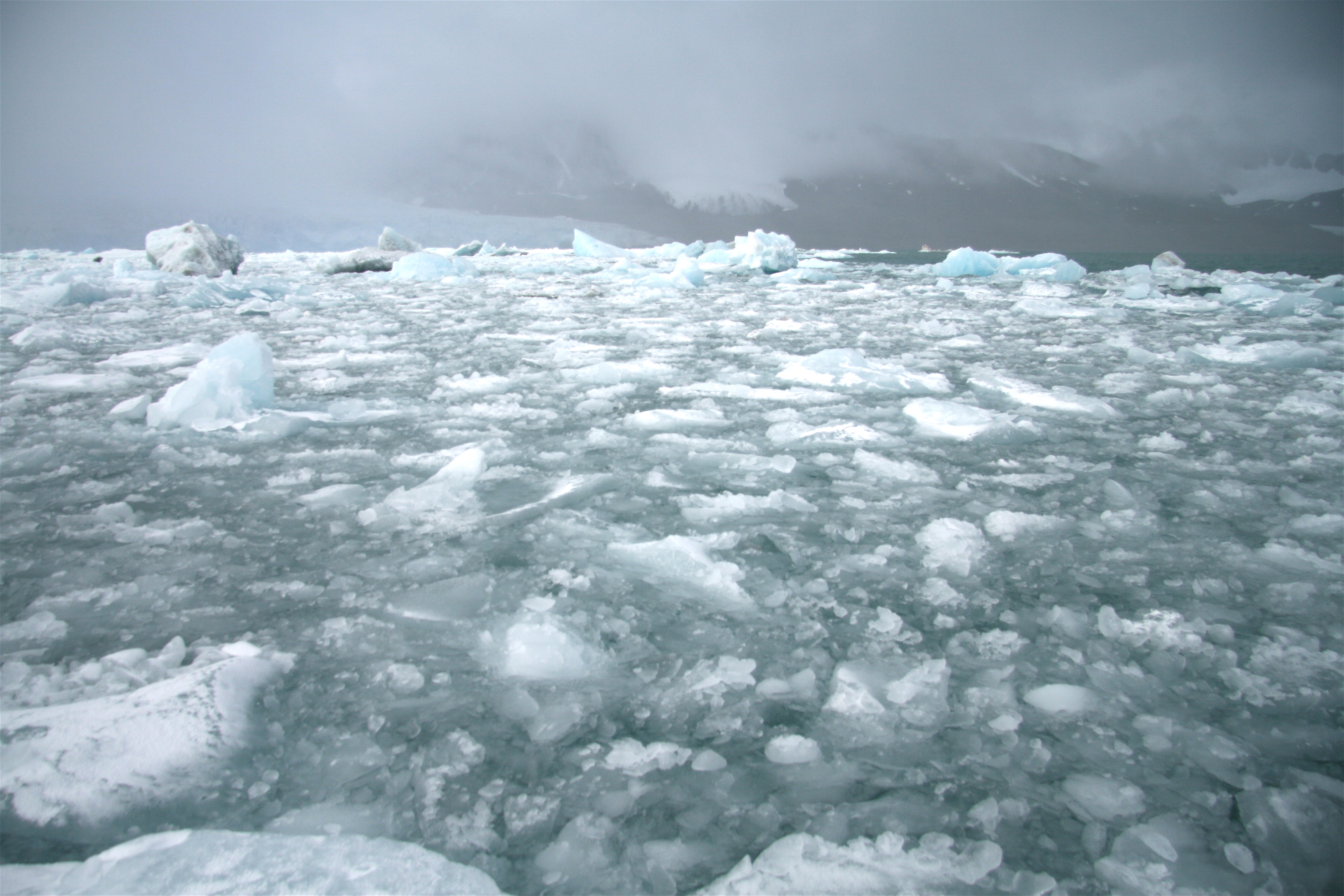 Glacial ice in Svalbard | Terra Incognita Ecotours