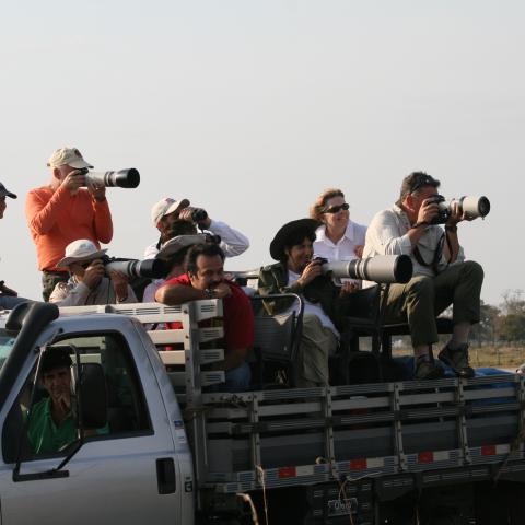 Game drive truck, Baia das Pedras