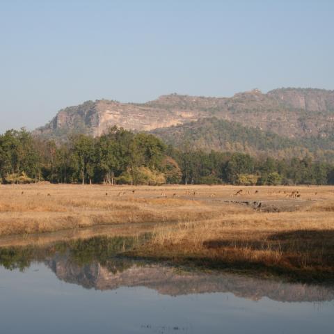 Bandhavgarh National Park