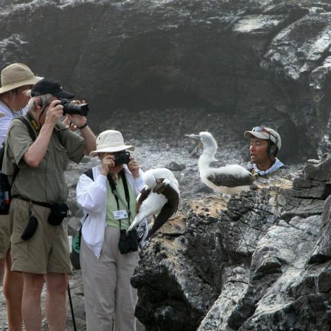 Espanola, Galapagos