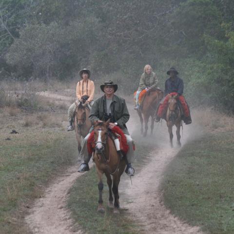 Horseback ride, Baia das Pedras