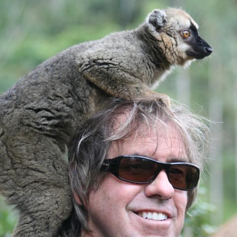 Brown lemur finds a new friend 