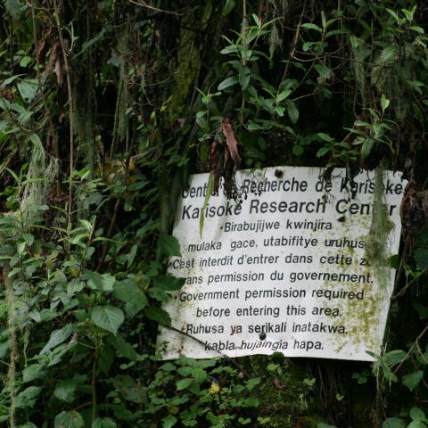 Kerisoke Research Center, Volcanoes National Park