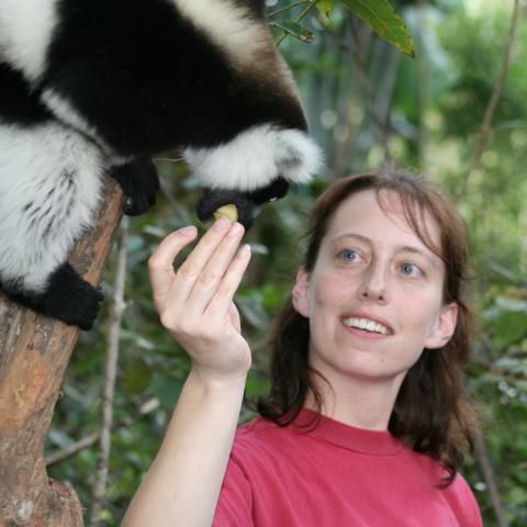 Black and white ruffed lemur at Andasibe-Mantadia National Park