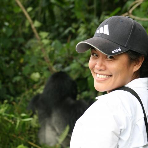 Trekker with Mountain gorilla