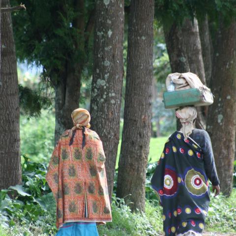 Rwanda scenery