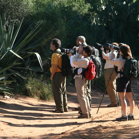 Ecotours group on trail in Berenty