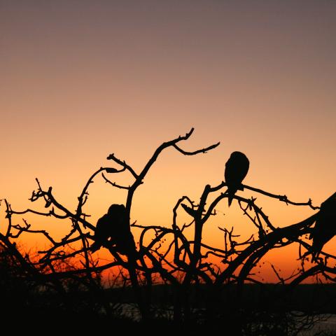 Sunset, Galapagos