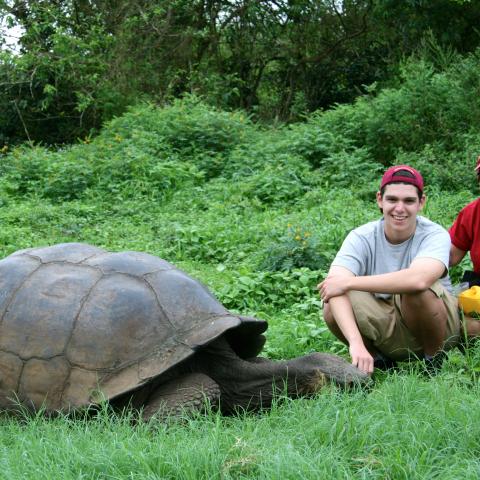 Galapagos Giant Tortoise