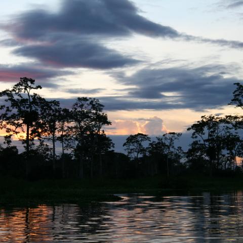 Sunrise on the Amazon River