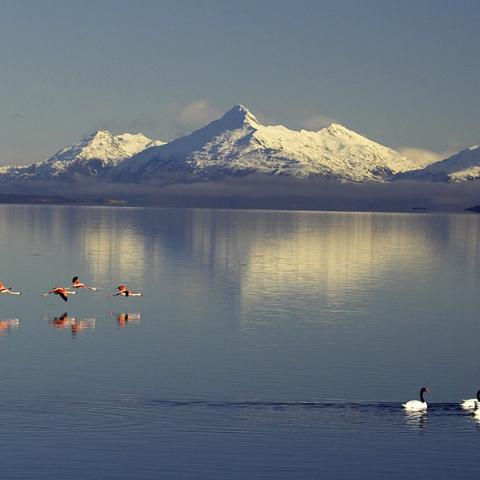 Torres del Paine National Park