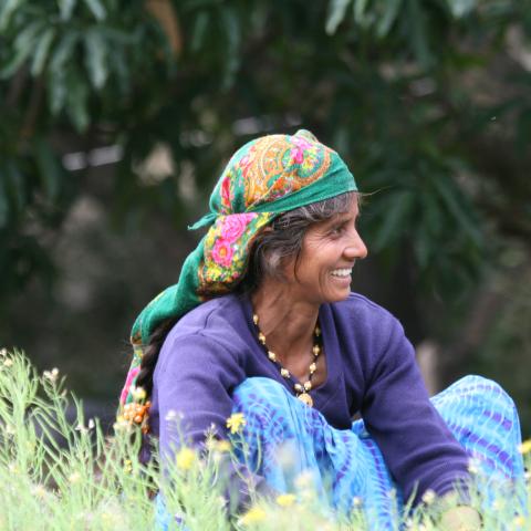 Rural scene, India