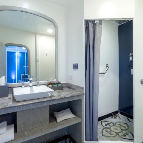 Bathroom on MV Horizn