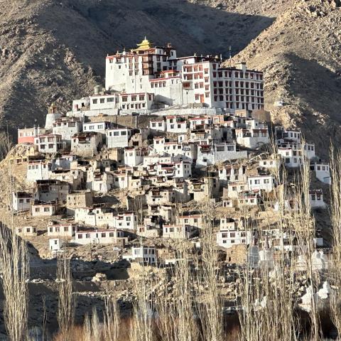 Thiksey monastery