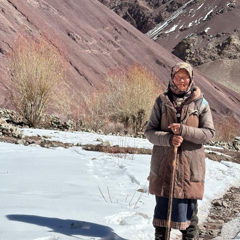 Ladakh local