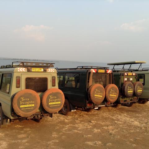 Game drive, Rwanda