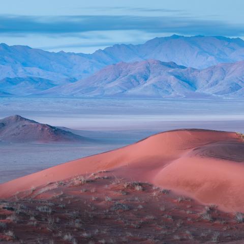 Namib desert
