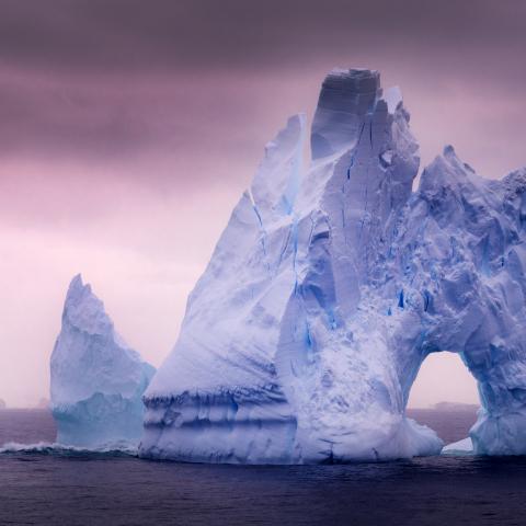 Antarctica