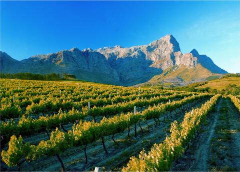 Franschhoek, Cape Winelands Franschhoek, Cape Winelands