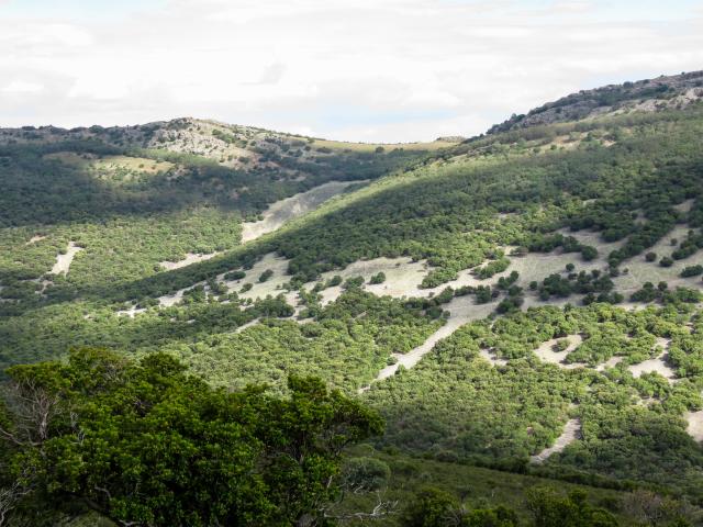Scenery in Iberia, Spain