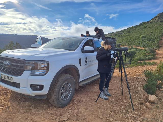 Searching for Iberian Lynx, Spain
