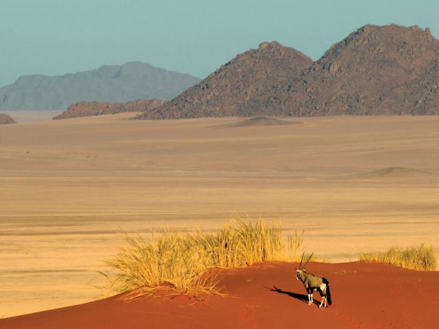 Namib desert