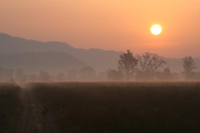 Sunrise in India