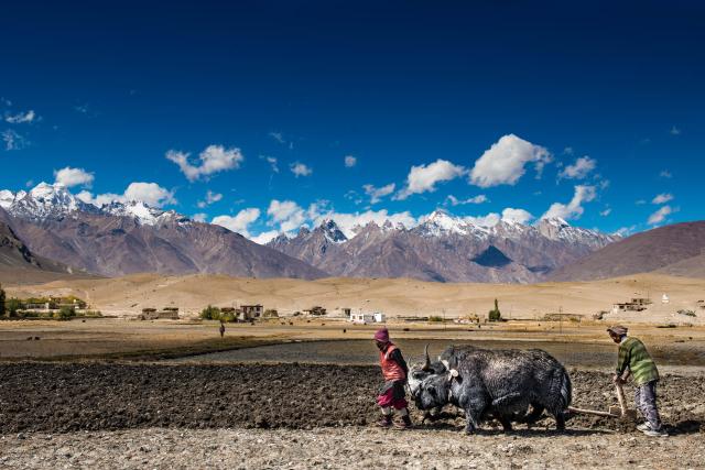 Ladakh scenery