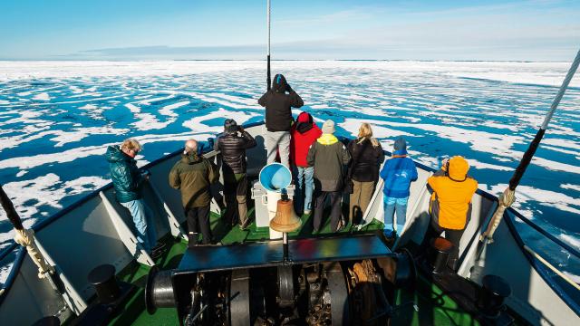 Cruising through Svalbard aboard M.S. Sjoveien