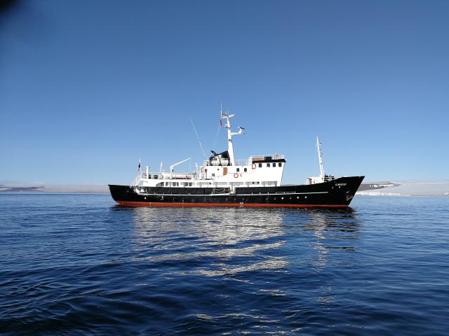 MS Sjoveien