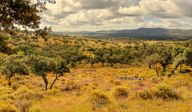 Landscape of southern Spain