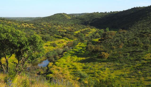 Landscape of Extremadura, southern Spain