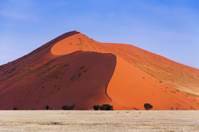 Dunes at Sossusvlei, Namibia