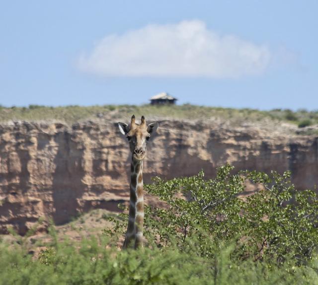 Vingerklip Lodge, Namibia